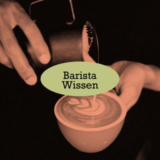 Barista-Wissen im AMORI Kaffeelexikon – Technik, Brühdruck und Kunst der Espressozubereitung.