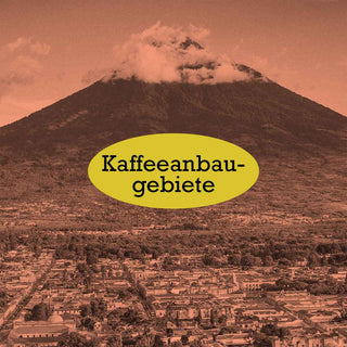 Kaffeeanbaugebiete im AMORI Kaffeelexikon – Regionen, Terroir und charakteristische Herkunftsprofile.