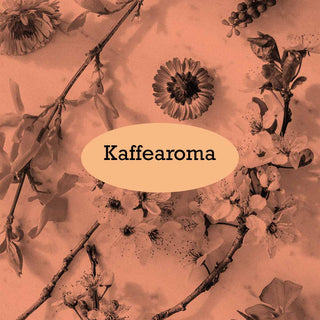 Kaffeearoma im AMORI Kaffeelexikon – Sensorik, Geschmack und aromatische Vielfalt.