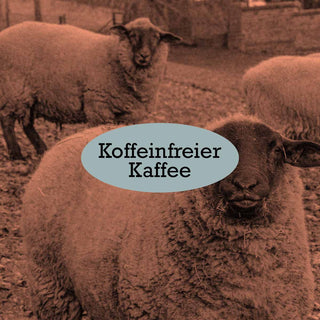 Koffeinfreier Kaffee im AMORI Kaffeelexikon – Verfahren, Geschmack und natürliche Entkoffeinierung.