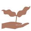 Das Bild zeigt eine stilisierte Illustration einer Hand und einer Pflanze. Es suggeriert, dass es sich um einen 'Verantwortungsvoller Anbau' von Kaffee handelt.