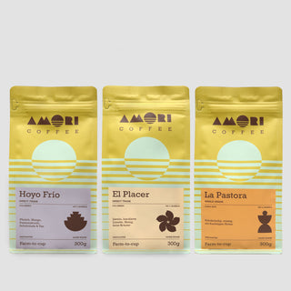Farmkaffee Probierpaket – ausgewählte Single Origin Kaffees von AMORI aus verschiedenen Herkunftsregionen.