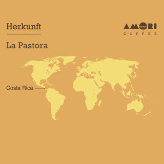 AMORI Farmkaffee La Pastora - Herkunft