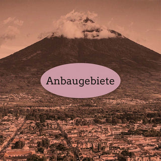 Stadt am Fuß eines wolkenverhangenen Berges mit dem Schriftzug Anbaugebiete.