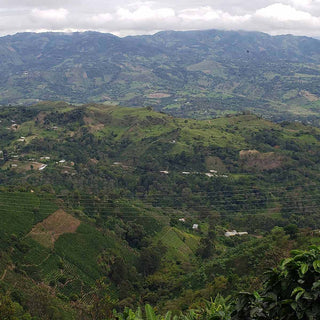 Kaffeeanbaugebiet im Hochland von Cauca in Kolumbien mit grünen Berghängen und kleinen Farmstrukturen