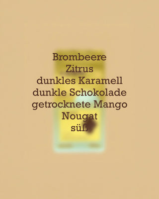 Geschmacksprofil des AMORI Canaque Farmkaffees aus Guatemala mit Brombeere, Zitrus, dunklem Karamell, dunkler Schokolade, getrockneter Mango, Nougat und süßen Noten vor einer unscharfen Kaffeeverpackung.