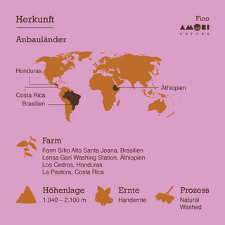 Infografik „Herkunft Anbauländer“: Brasilien, Äthiopien, Honduras, Costa Rica; 1.040–2.100 m, Handernte