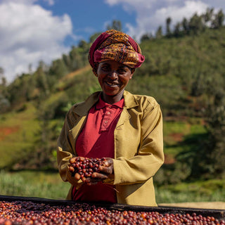 Kaffeebäuerin der Gasharu Rugori Farm in Ruanda hält frisch geerntete Kaffeekirschen vor Trocknungsbetten im Hochland von Nyamasheke.