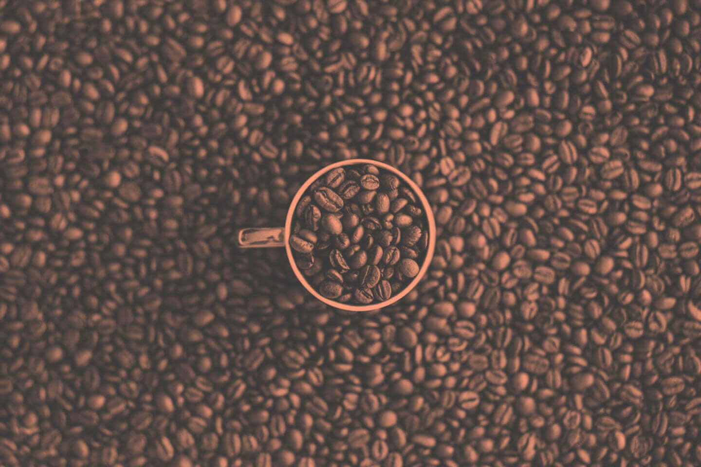 Gerösteter Kaffee mit Kaffeetasse - AMORI Coffee