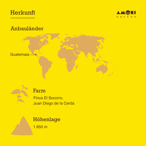 AMORI Farmkaffee El Socorro -  Herkunft, Anbauländer, Farm und Höhenlage