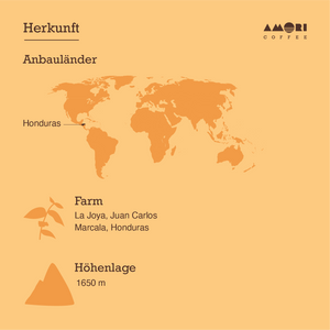 AMORI Farmkaffee La Joya -  Herkunft, Anbauländer, Farm und Höhenlage
