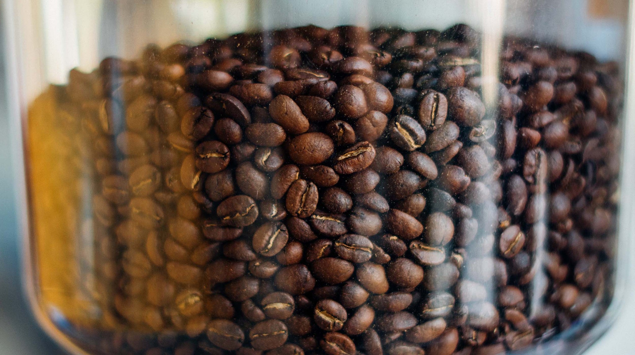 Kaffeebohnen im Bohnenbehälter