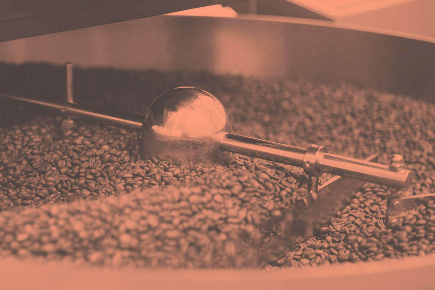 Kaffeebohnen in der Rösttrommel - AMORI Coffee