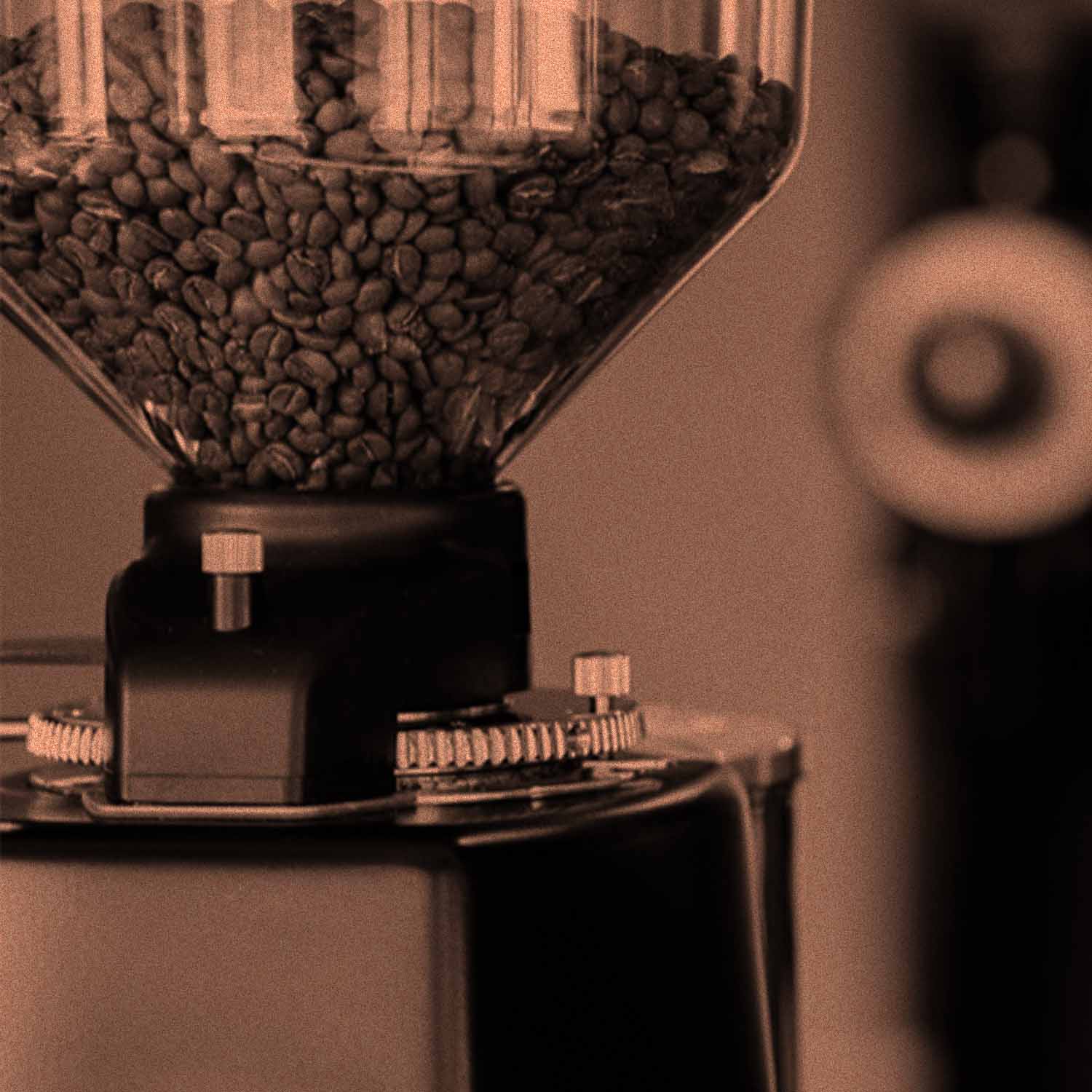 Die Nahaufnahme des Bohnenbehälters einer elektrischen Kaffeemühle. Der Behälter der Mühle ist mit Kaffeebohnen gefüllt.