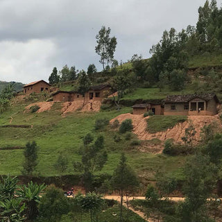 Anbauregion Muhanga in Ruanda mit Kaffeeplantagen in hügeliger Landschaft