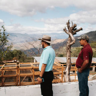 Mitglieder der Cafe Colis Resistencia Gemeinschaft stehen an Trocknungsbetten und überblicken die Aufbereitung von La Resistencia im Hochland Guatemalas.