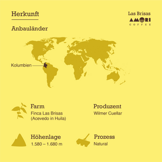 Herkunft Las Brisas Kolumbien; Farm Finca Las Brisas, Produzent Wilmer Cuellar, 1580–1680 m, Prozess Natural