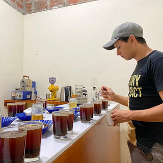 Cupping Verkostung zur Bewertung der Kaffeequalität auf der Farm