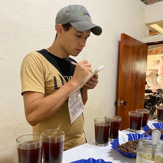 Kaffeeexperte bewertet verschiedene Kaffees beim Cupping