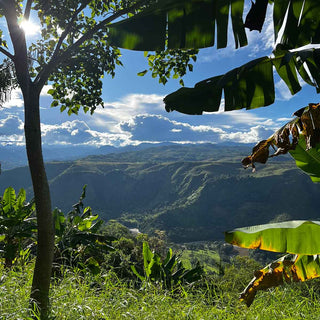 Kaffeelandschaft und Berge rund um die Kaffeefarm Las Brisas in Kolumbien
