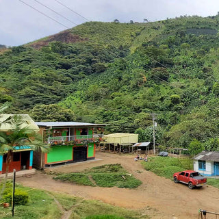 Kaffeefarm der Nasa-Wesx-Gemeinschaft im Hochland von Cauca in Kolumbien