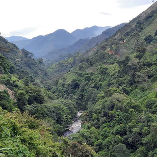 Flusstal und Berglandschaft im Kaffeeanbaugebiet Cauca im Süden Kolumbiens