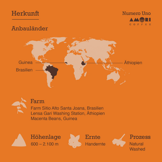 Infografik „Herkunft Anbauländer“: Brasilien, Äthiopien, Guinea; 600–2.100 m, Handernte, Natural & Washed