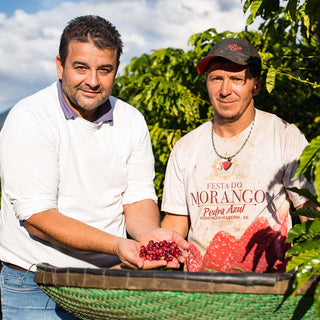 Kaffeefarmer der Familie Pessin bei der Ernte für den Espresso Vela in Espírito Santo