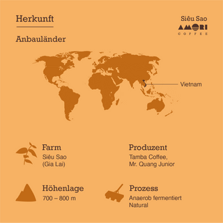Herkunft Siêu Sao Vietnam; Farm Siêu Sao Gia Lai, Produzent Tamba Coffee, 700–800 m, anaerob fermentiert, Natural