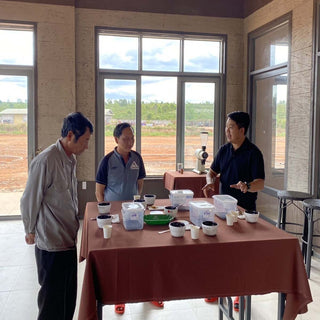 Kaffeeproduzenten verkosten verschiedene Kaffees bei einer professionellen Cupping-Session